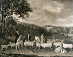 Portret van Thomas William Coke, Esq. (1752-1842) inspecteert enkele van zijn South Down schapen met Mr Walton en de herders van Holkham, gegraveerd door William Ward (1766-1826), 1808 door Thomas Weaver